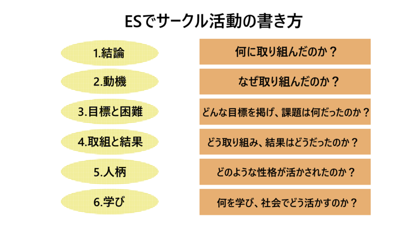 エントリーシート（ES）でサークル活動の書き方