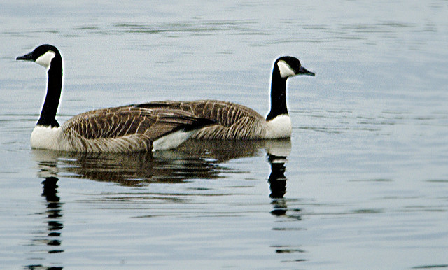 志望動機を「入社したい理由」だと考えるから噛み合わない面接になる