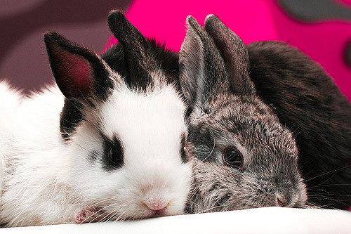 民間就活と公務員試験併願に向けた戦略とコツ