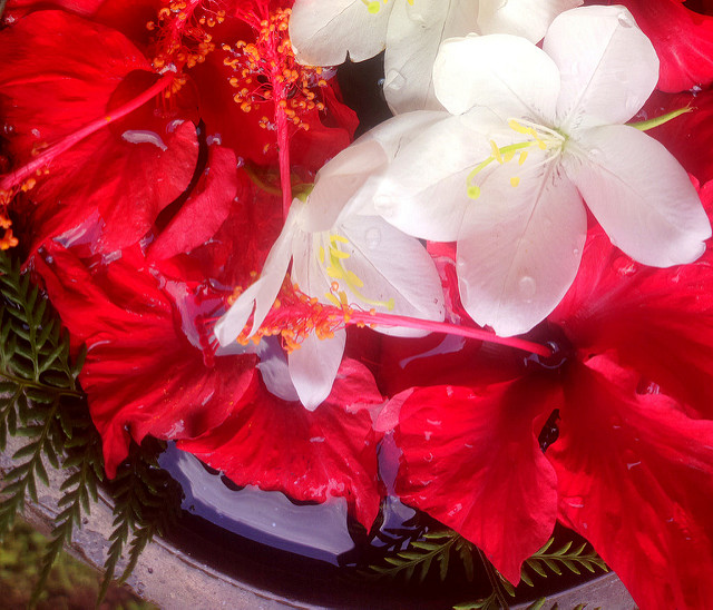 楽天のインターンはコスパに定評アリ？内容と選考対策を紹介